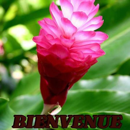 생트안느 Alpinia 아파트 외부 사진